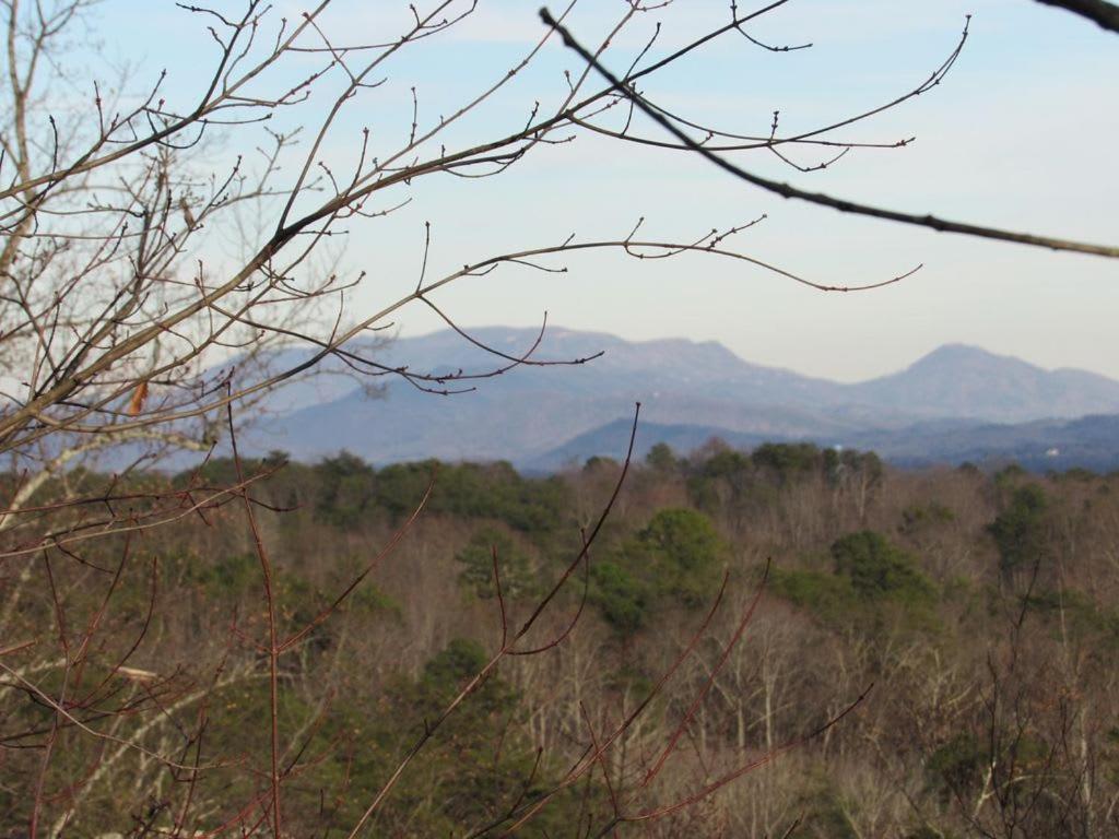 View! Cozy, Private, Fireplace, Hot Tub Log Cabin, Honeymoon! Sevierville Bagian luar foto
